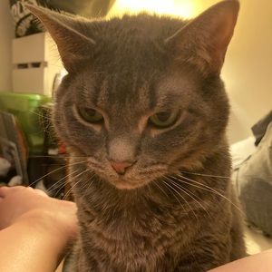 Meet your Posher, Lindsay